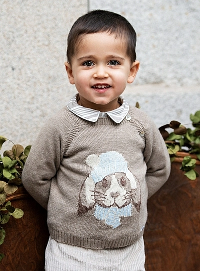 Jersey para niño colección otoño de foque