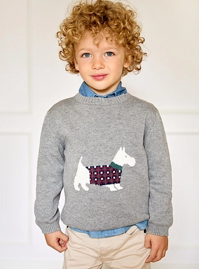 Tineo Collection Grey Sweater for Boys with Puppy Design